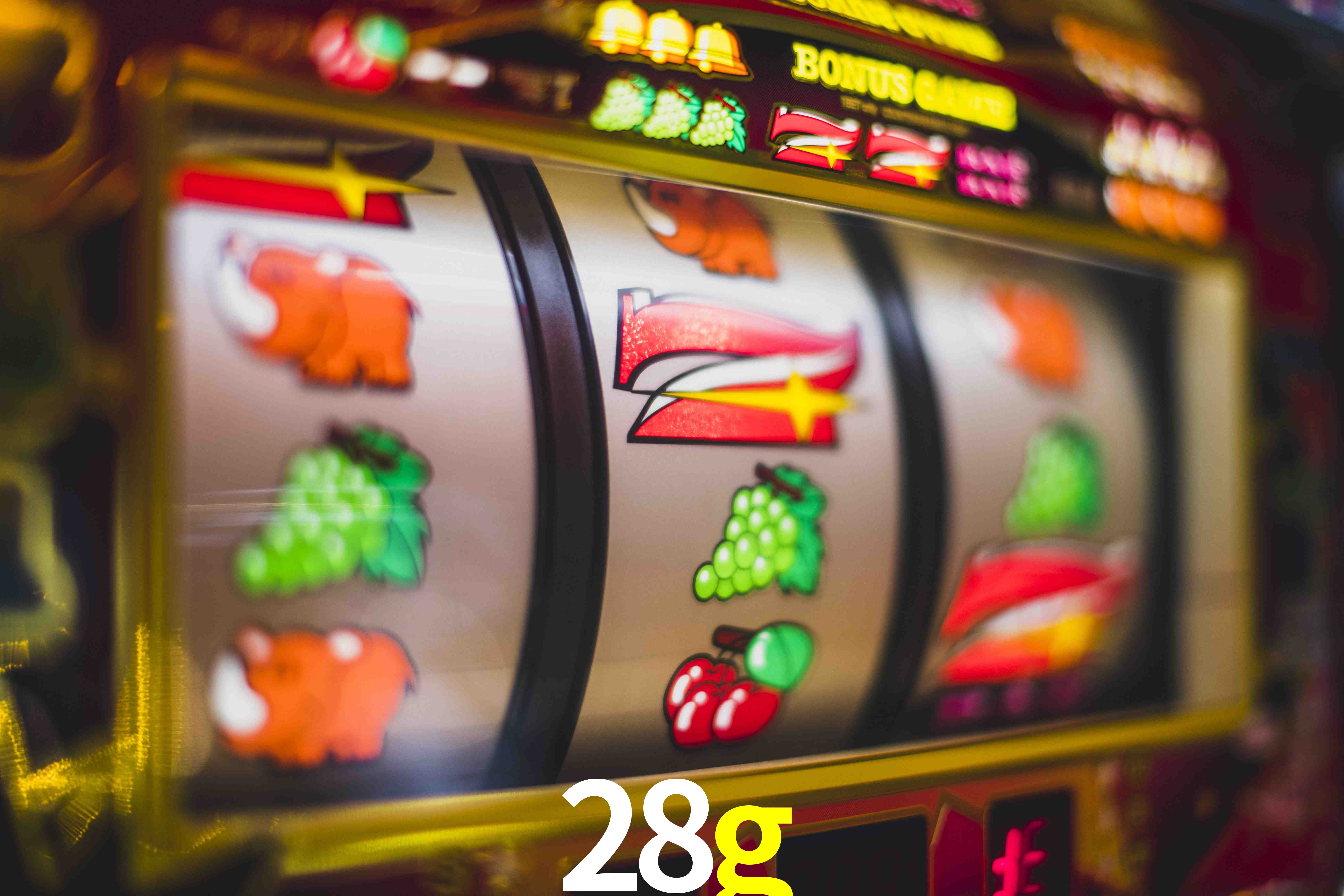 Basketball Betting 28g
